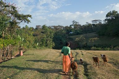 ETH_CRS_3 featured image