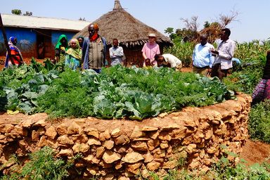 ETH_CRS_5 featured image