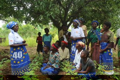 MWI_WV_1 featured image