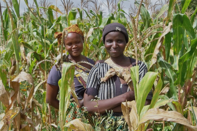 KEN_WV_5 featured image