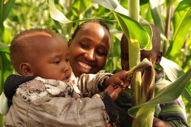 KEN_WV_1 featured image